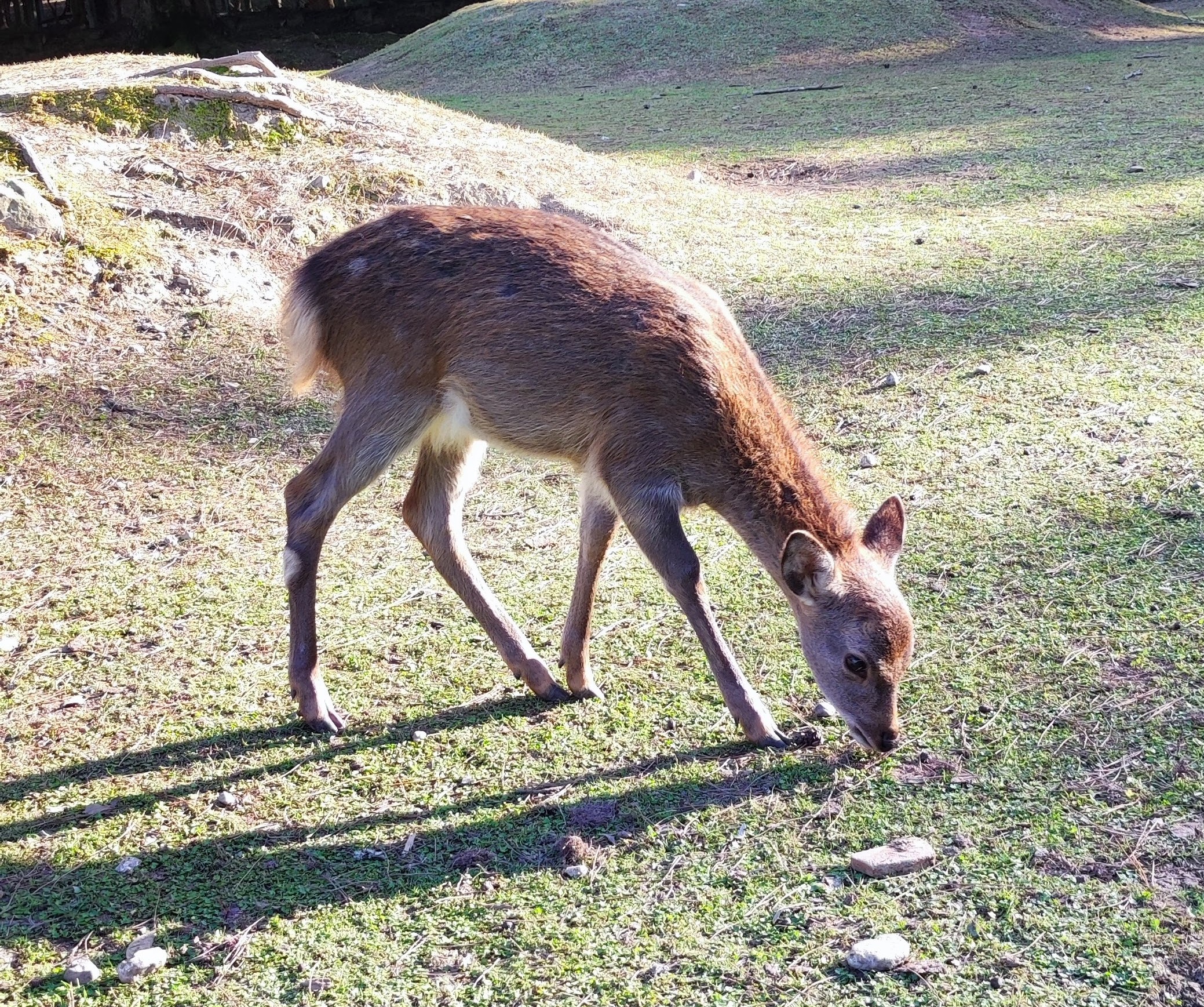 ひとりごとシリーズ