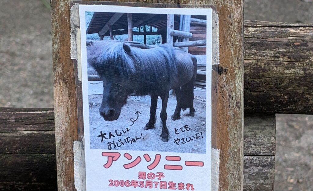 pxl_20250912_04434716526098666330760443517.